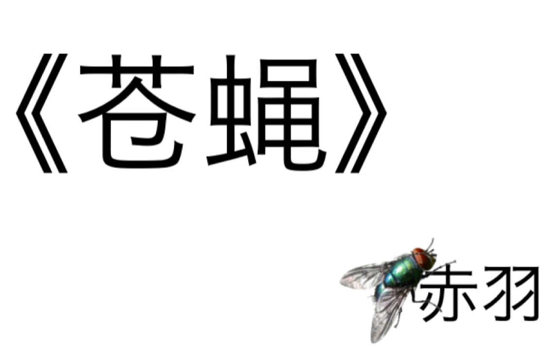 《苍蝇》 苍蝇 翻唱