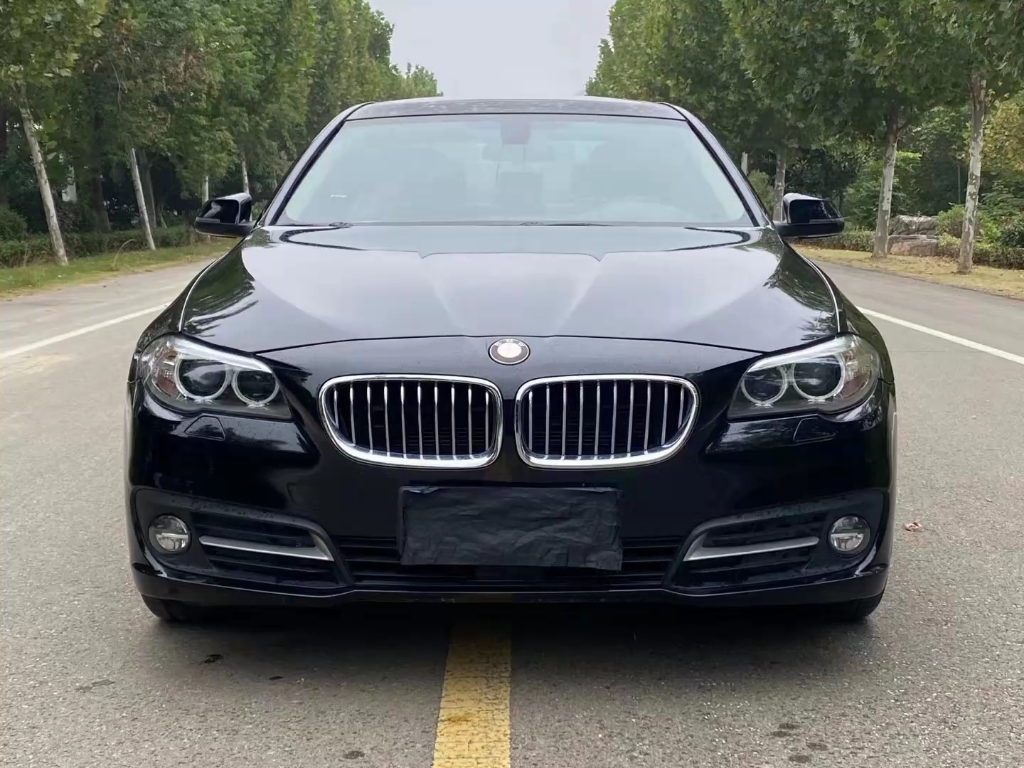 95w,16年宝马520,2.0t自动至尊商务动感型