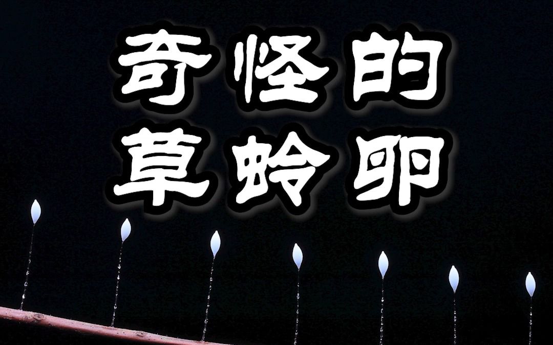 【少科ⷨ‰丛日记】背着shiti的小怪物,出生之前是这个样子哔哩哔哩bilibili