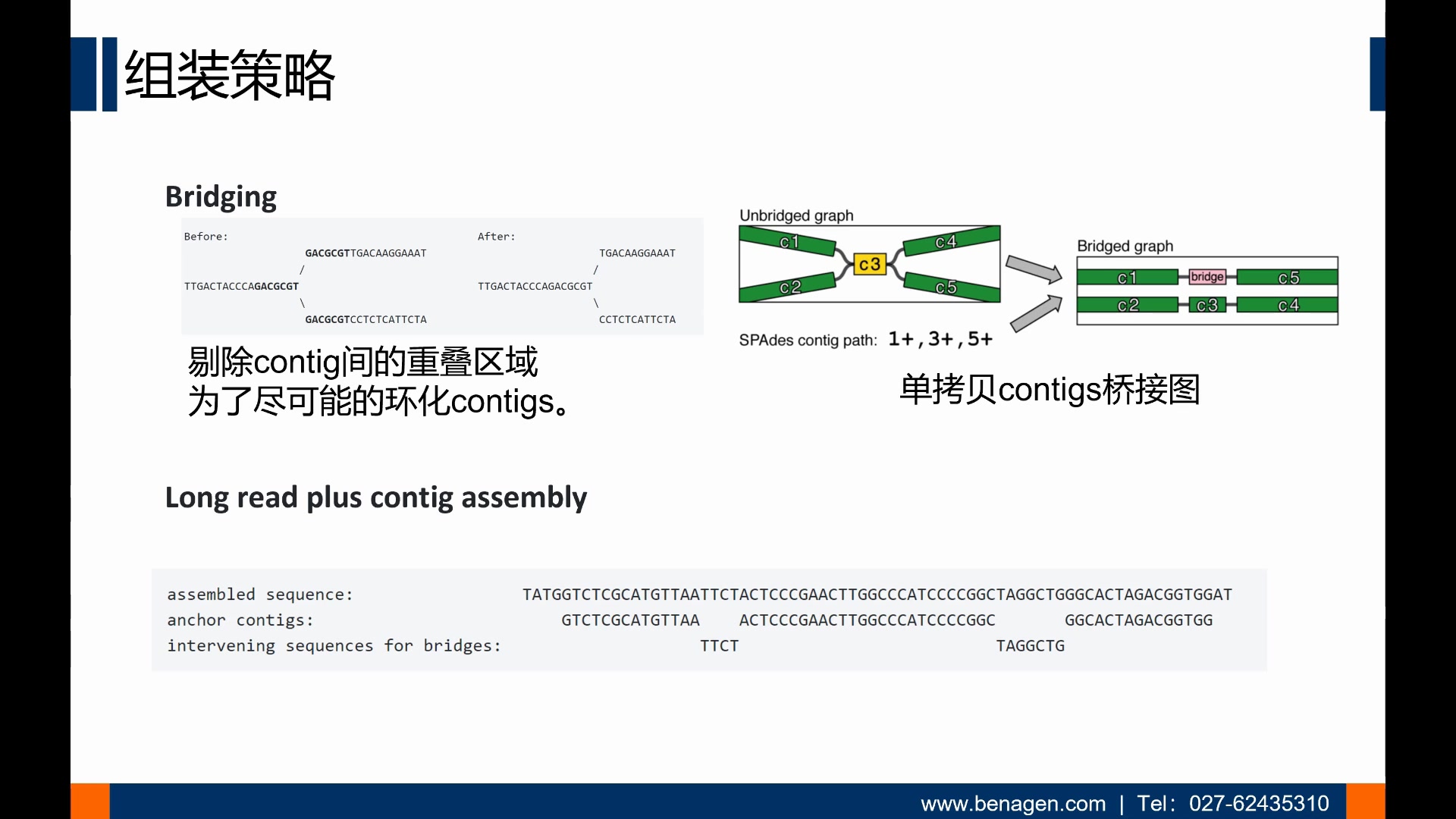 Smart 细菌完成图测序和分析哔哩哔哩bilibili