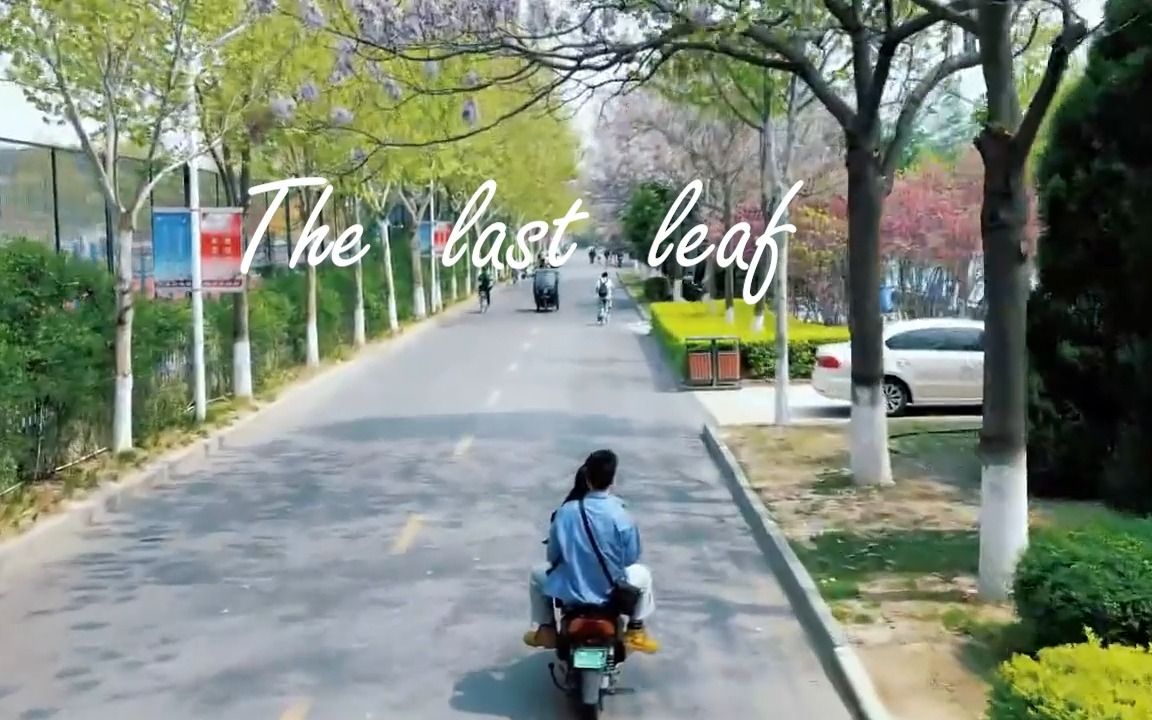 [图]the last leaf 英语作业小组展示