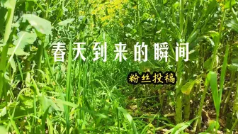 下载视频: 「山乌龟」山乌龟白嫖粉丝投稿