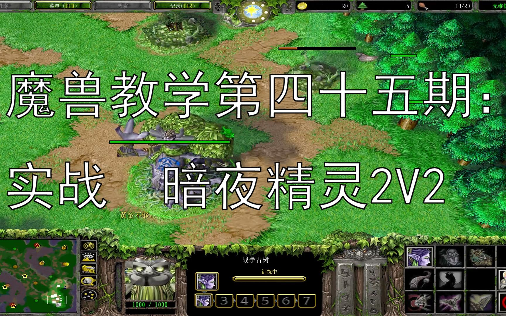 第四十五期:《魔兽争霸3》零基础教学-实战 暗夜精灵族2v2_魔兽争霸