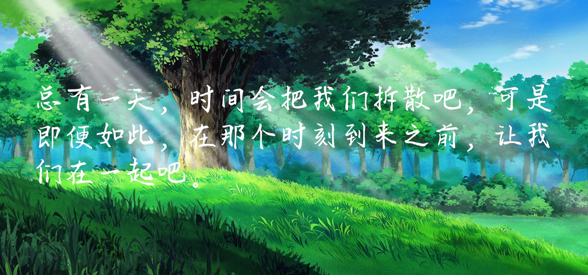 活动作品摘抄生命可以随心所欲但不能随波逐流