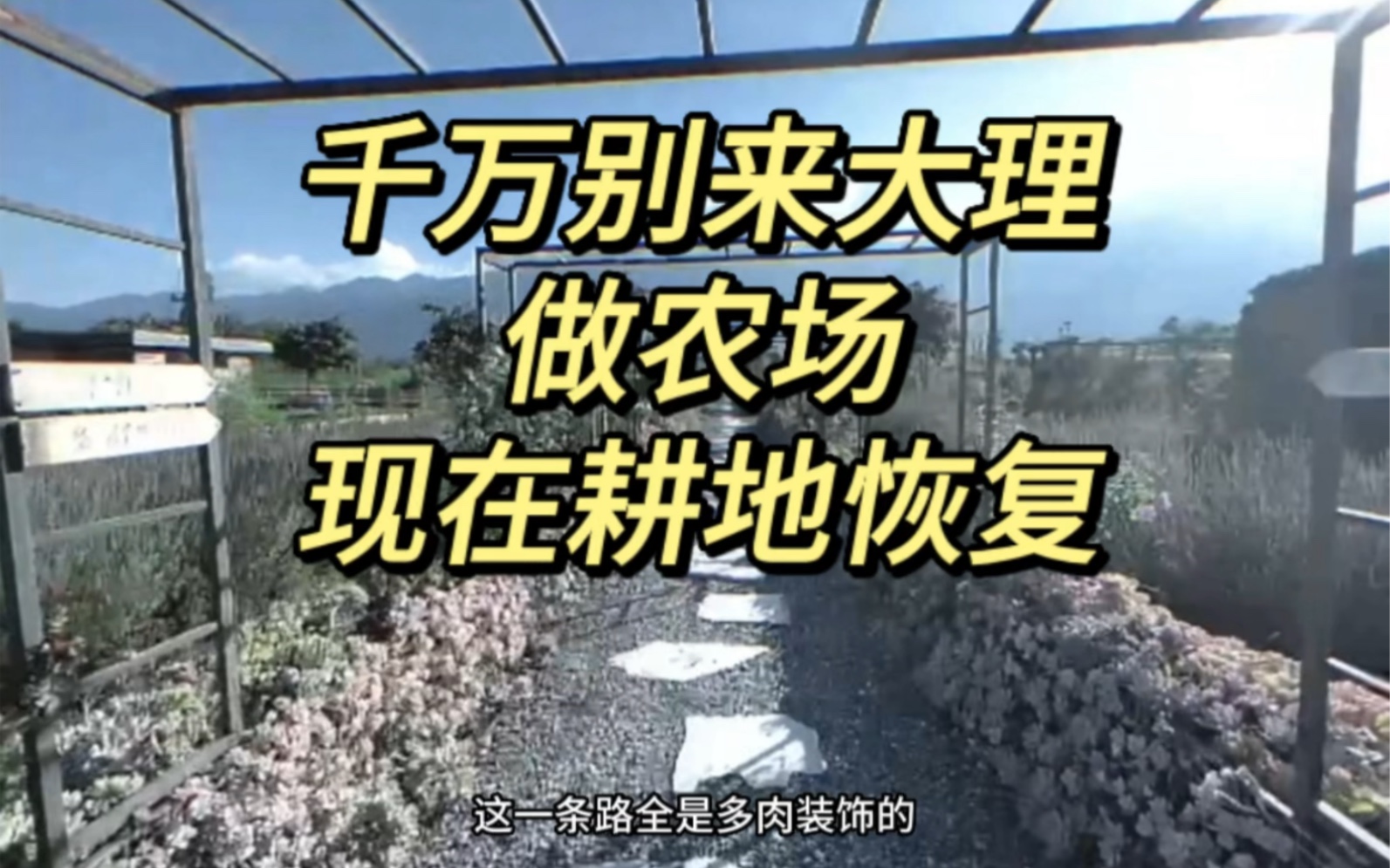 千万别来大理做农场,40多个项目整改中,格格暂停发布农场相关租赁信息,等等 #大理 #恢复耕地 #庄园哔哩哔哩bilibili