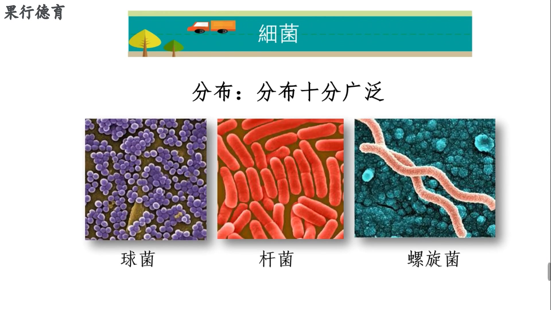 [图]苏教版生物八年级上14.3神奇的微生物