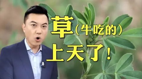 央视农业