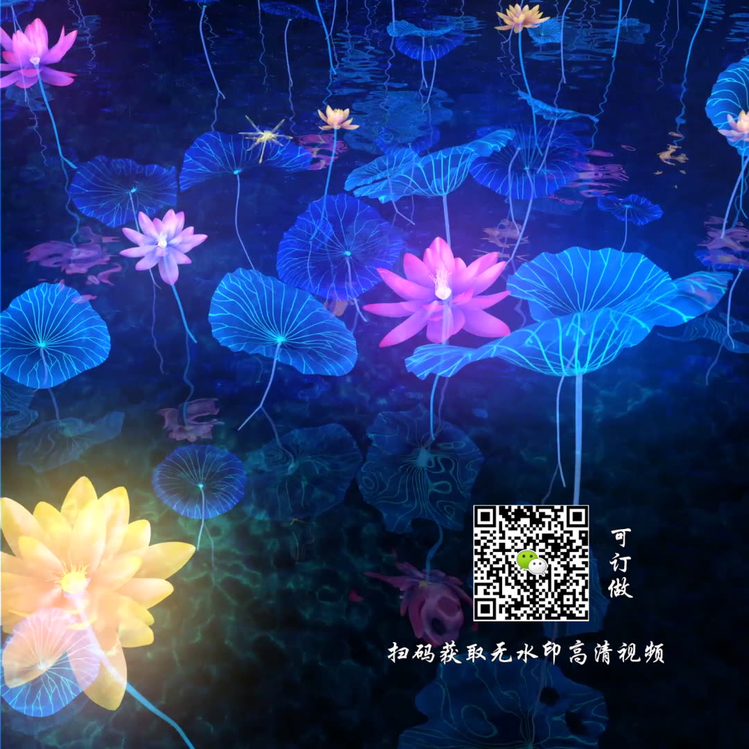 莲花荷花LED哔哩哔哩bilibili