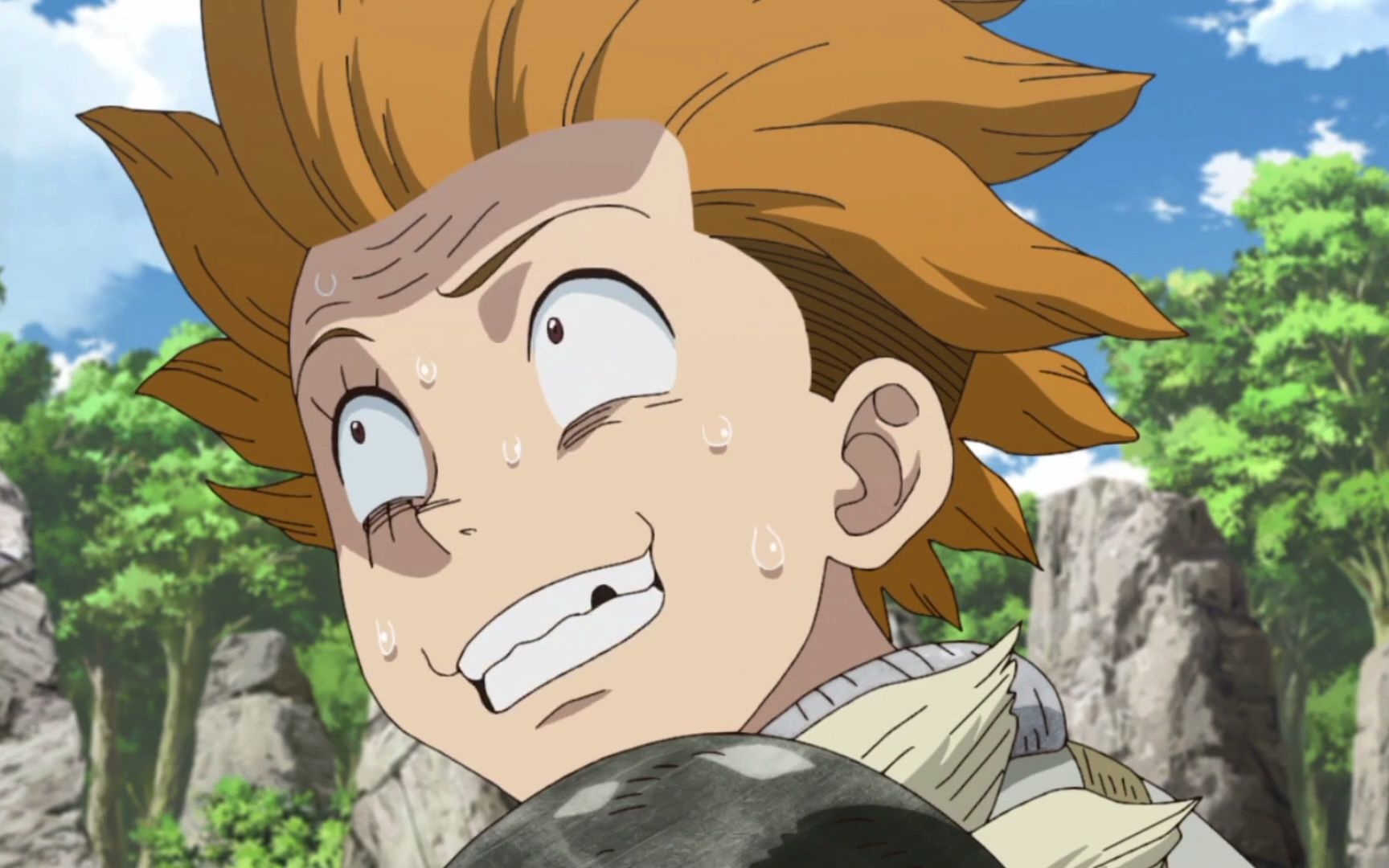 石纪元龙水 全2话所有的搞笑表情包