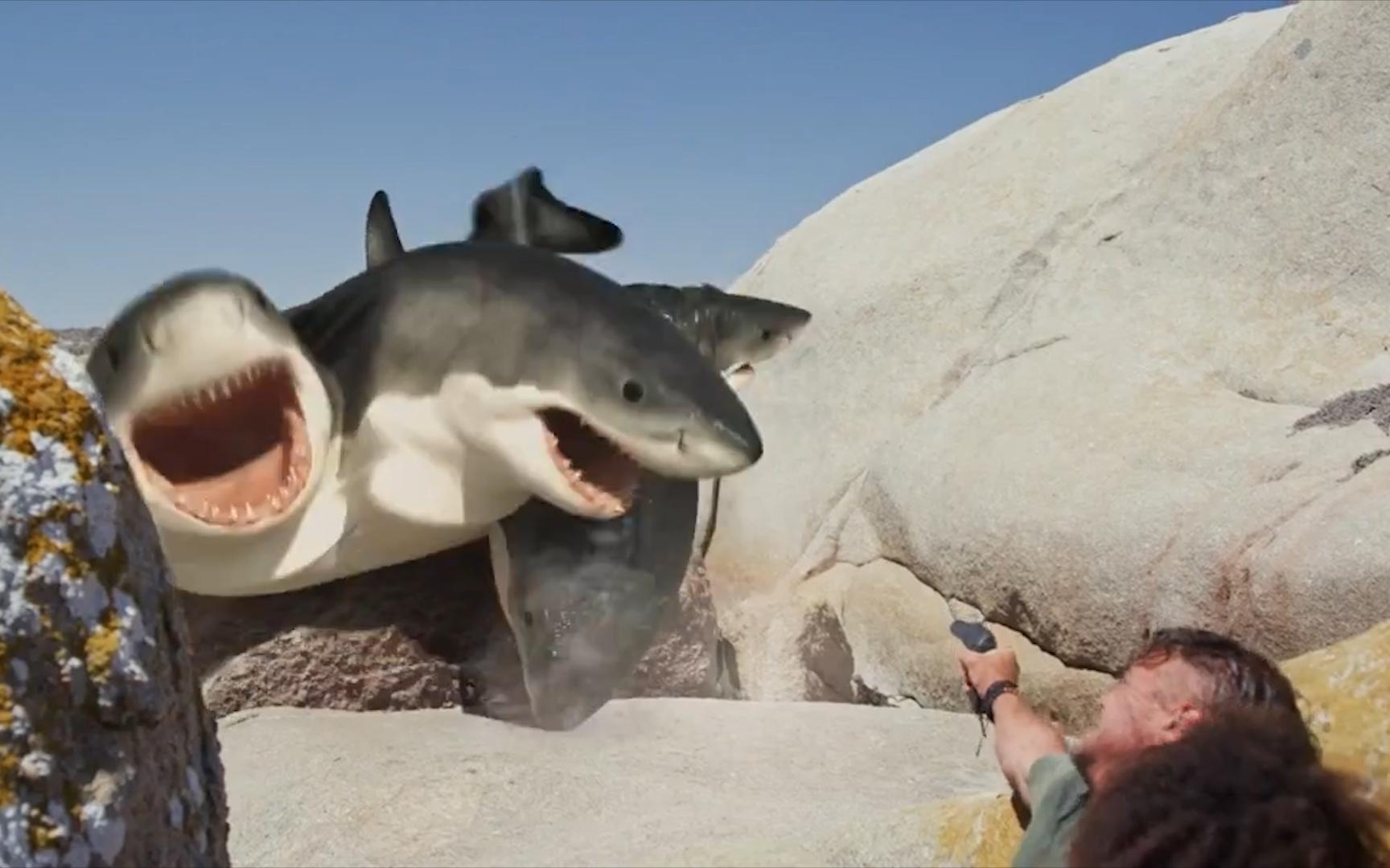 六头鲨电影图片