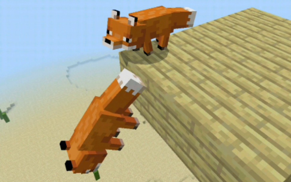 我的世界狐狸 B站