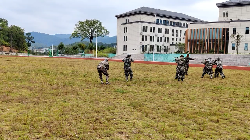 [图]论我的伪军队友们