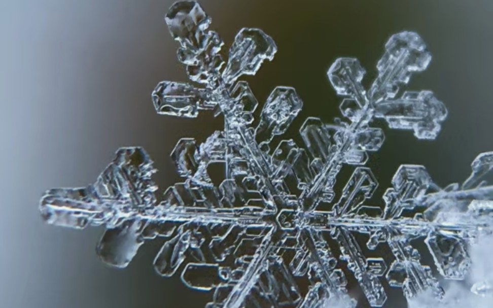 [图]天上的雪花落了，你已经不再属于我了……