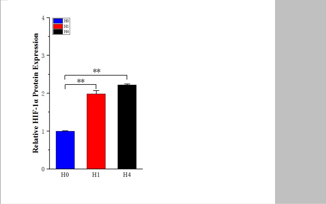 活动作品origin绘制柱状图