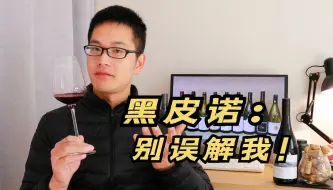 Descargar video: 误会！黑皮诺红酒单宁真的低吗？老派酒庄是怎么操作的呢