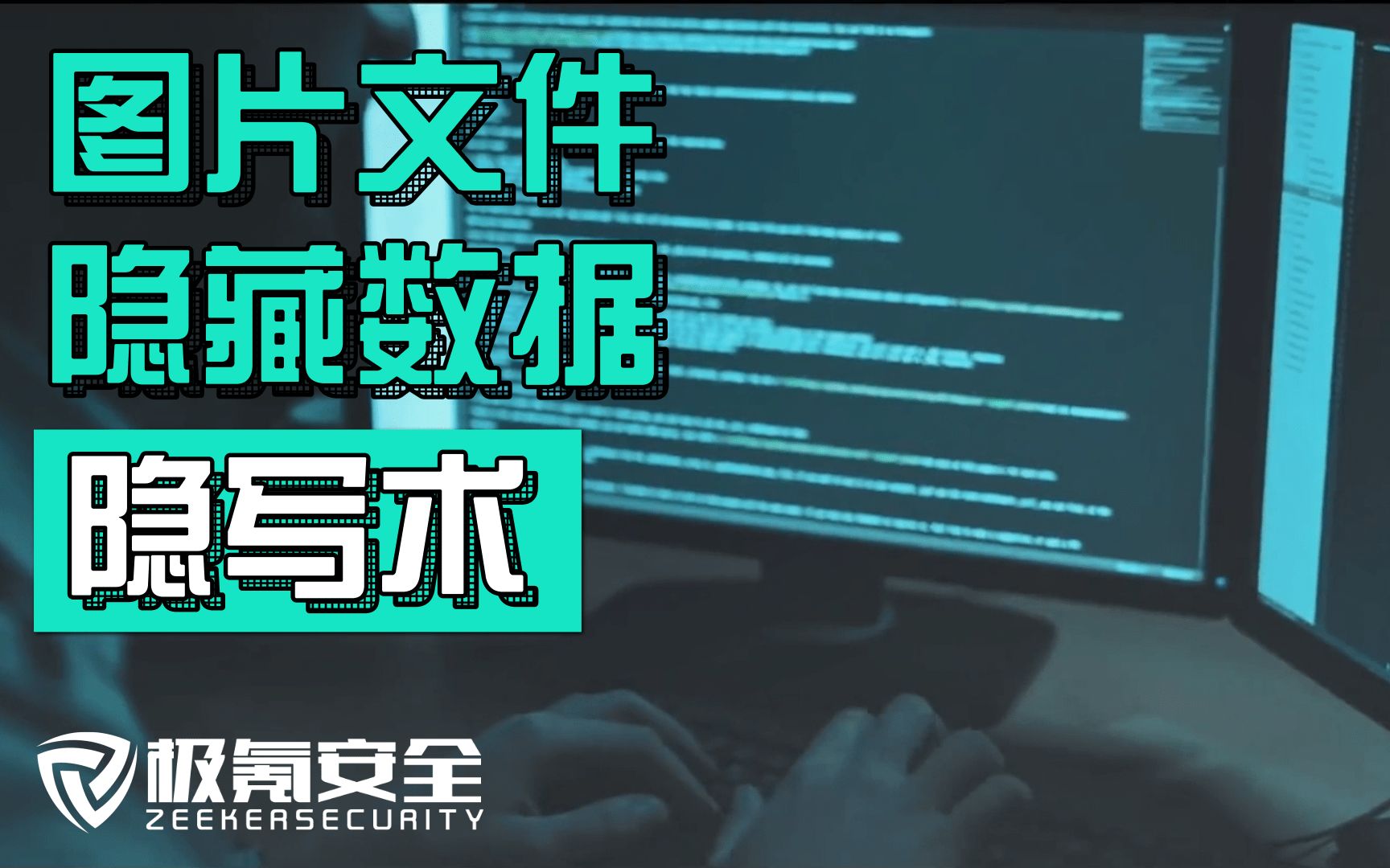 隐写术在jpg文件中隐藏数据  网络安全/黑客技术/极氪学院哔哩哔哩bilibili