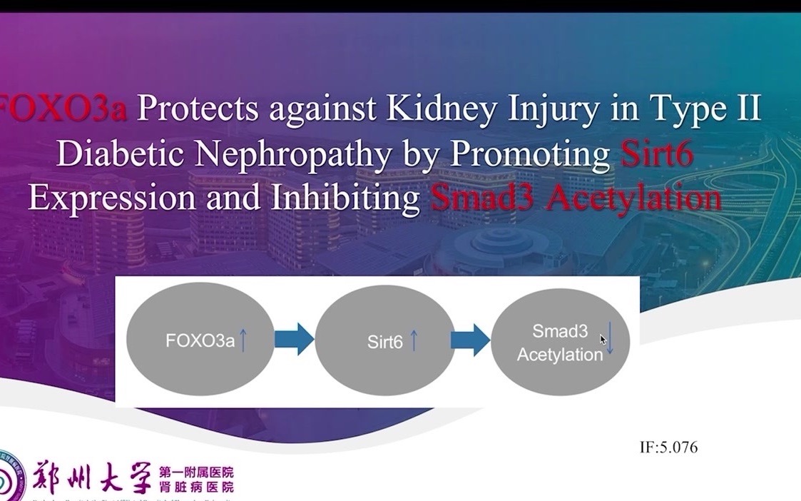 FOXO3a 通过促进 Sirt6 表达和抑制 Smad3 乙酰化保护 II 型糖尿病肾病的肾脏损伤哔哩哔哩bilibili