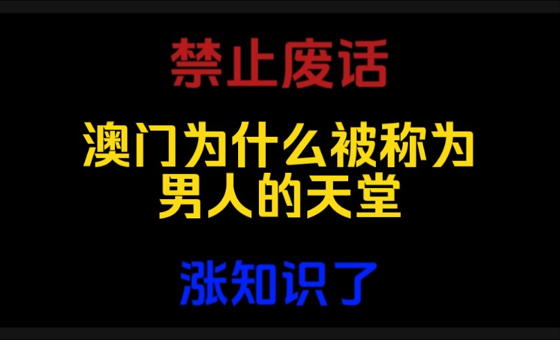 禁止废话:澳门为什么被称为男人的天堂?涨知识了哔哩哔哩bilibili