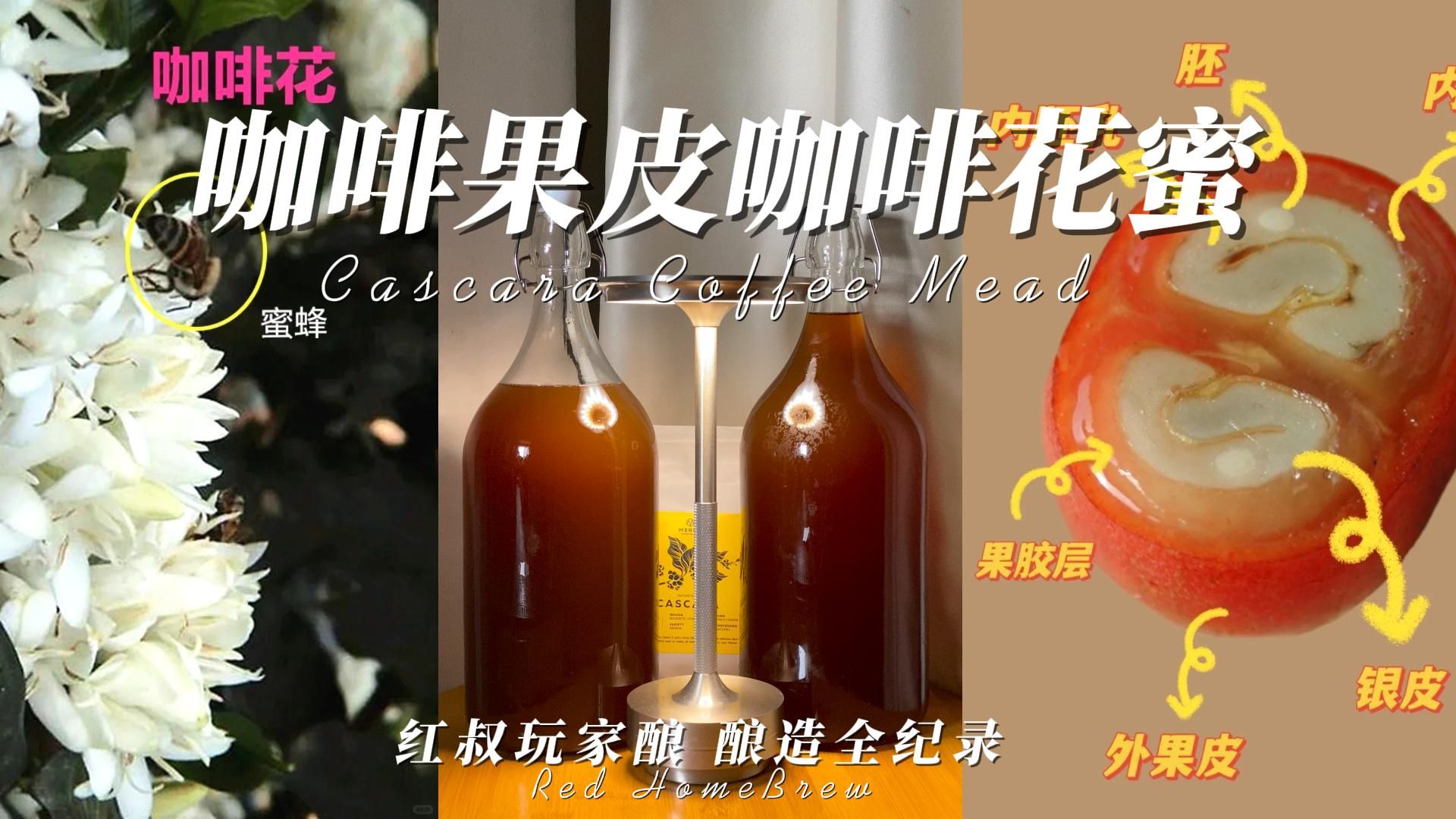 自酿一款关于咖啡的蜂蜜酒丨咖啡果皮咖啡花蜜