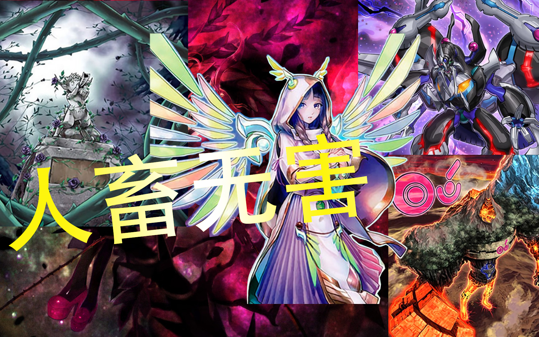 【游戏王ygopro】神巫单卡ftk