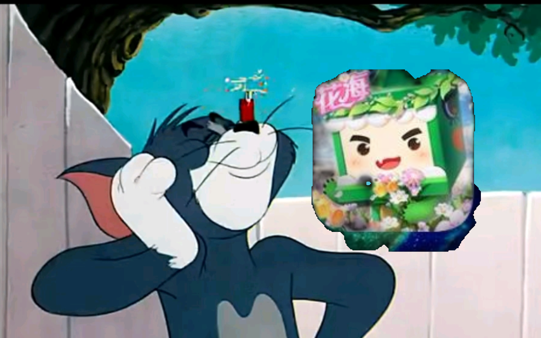 猫和老鼠爆竹风波,但是房主有神器090909