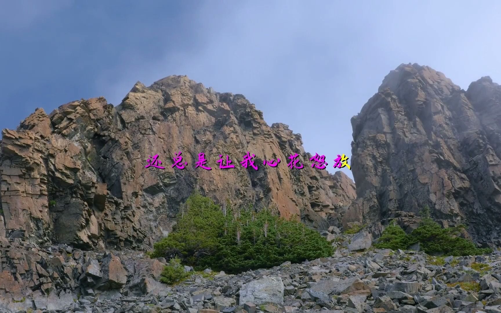 野花香经典歌曲相册制作mv软件下载手机