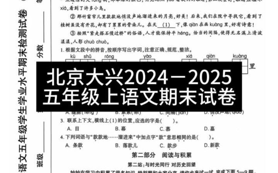 北京大兴区20242025五年级上语文期末试卷哔哩哔哩bilibili