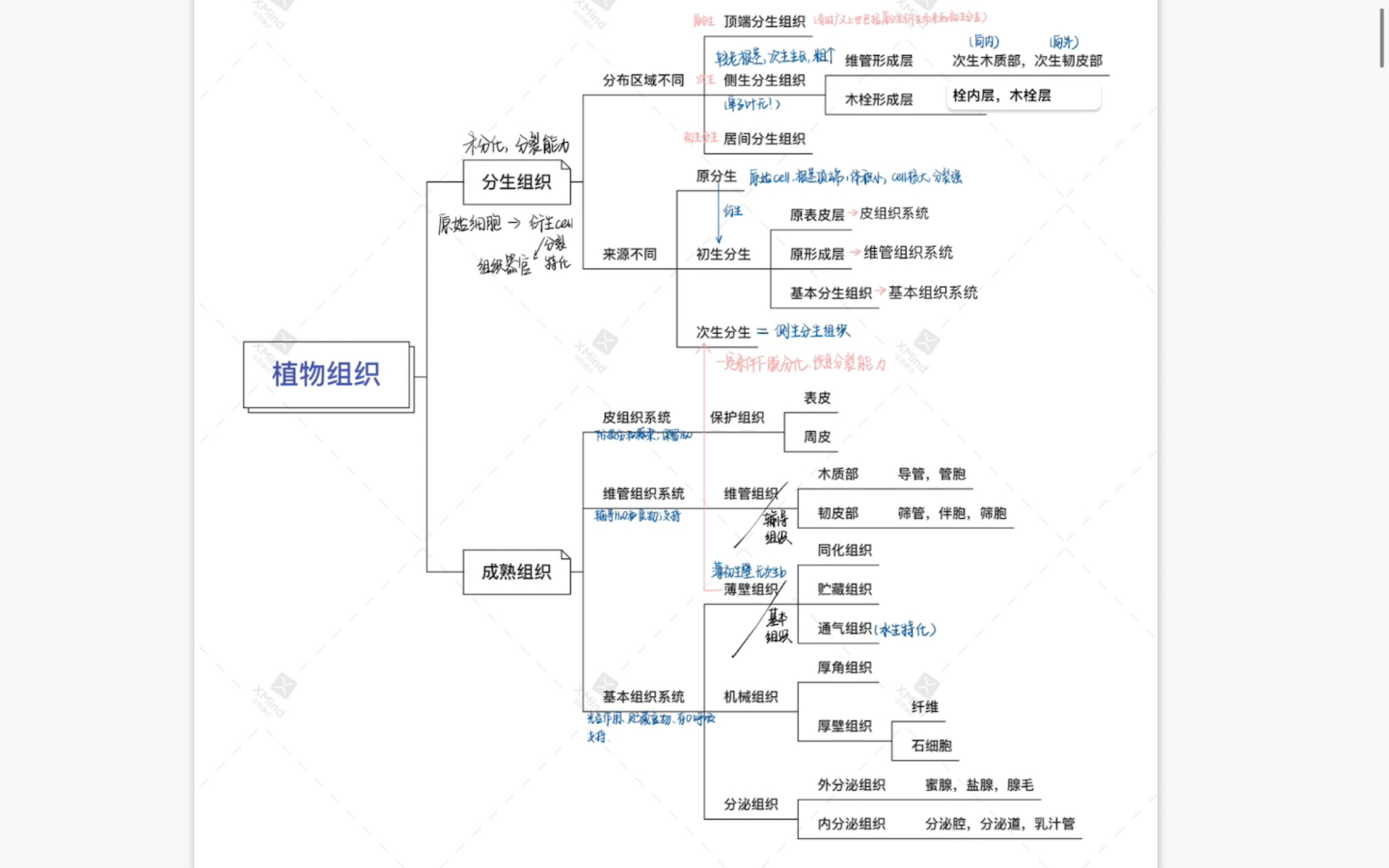 [图]【普生】植物组织（分生+成熟组织）