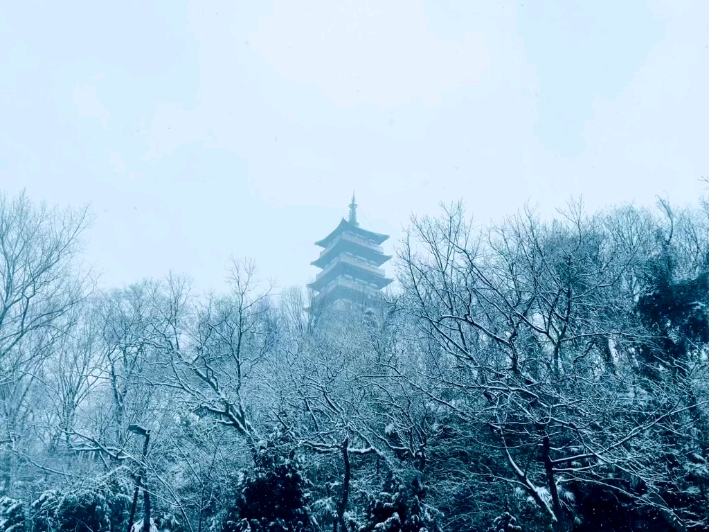 广陵 雪 江苏扬州瘦西湖 壬寅年正月初七哔哩哔哩bilibili