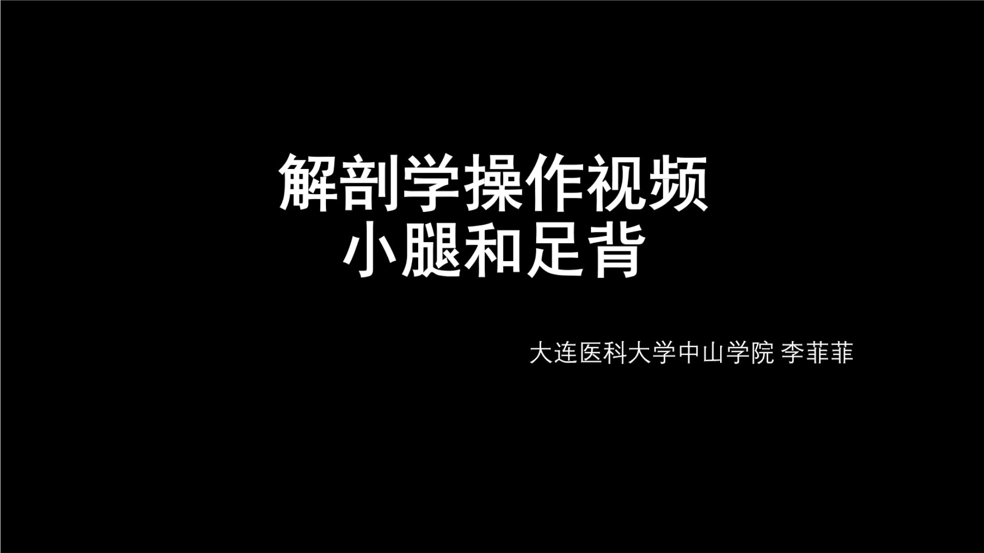 解剖学操作视频 小腿和足背哔哩哔哩bilibili