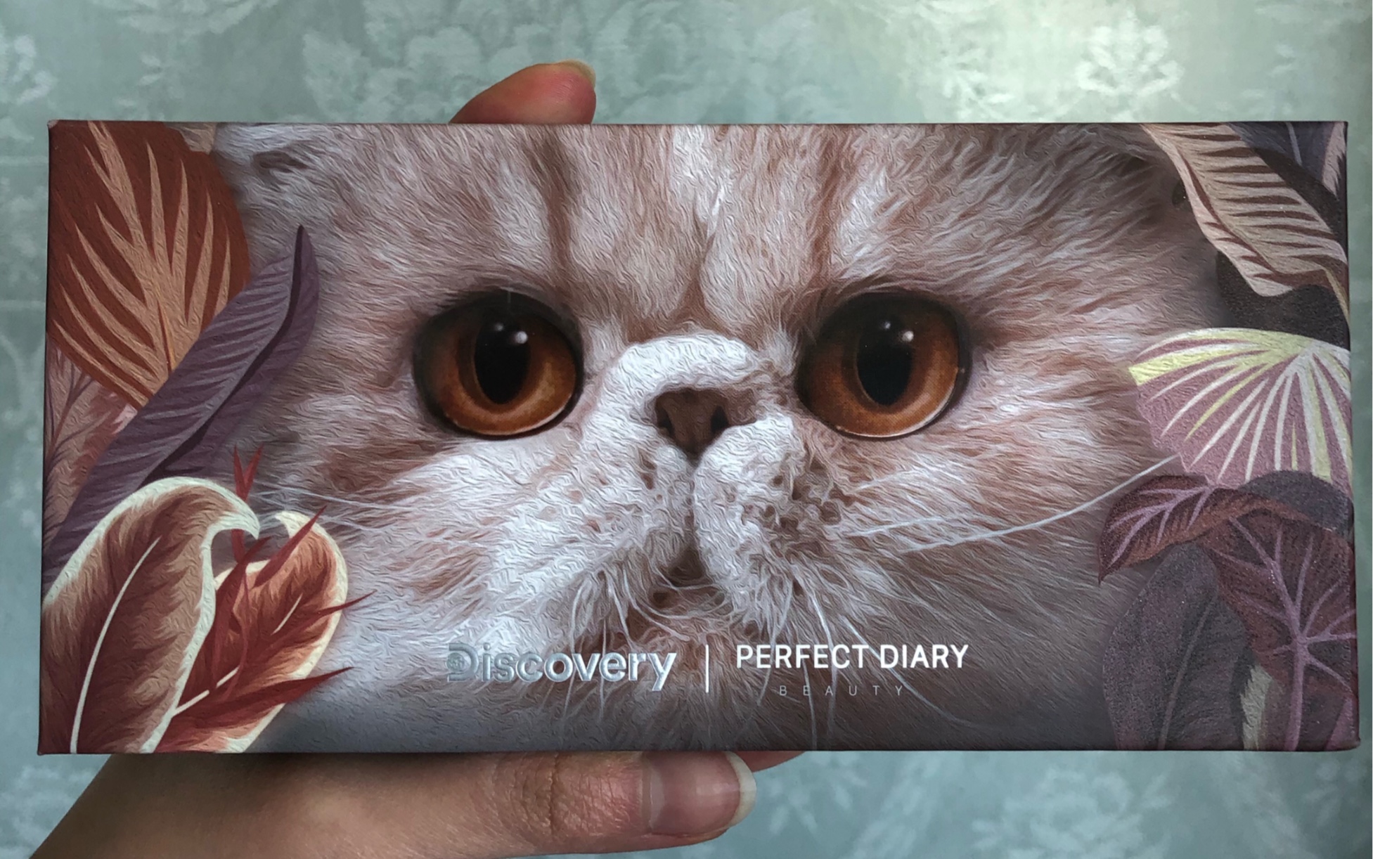 完美日记猫咪眼影盘|全网最落后girl试色