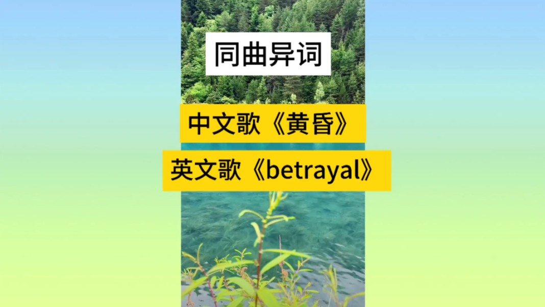 同曲异词,中文歌《黄昏》英文歌《betrayal》哔哩哔哩bilibili