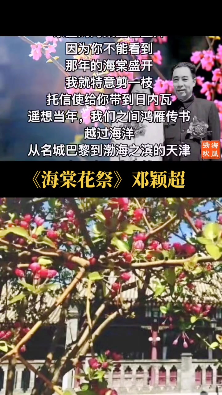 [图]和海风劲吹一起合拍海棠花祭作者邓颖超朗诵用心去感受呈给敬爱的