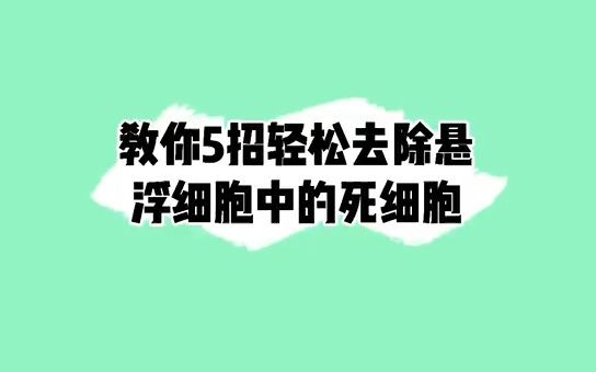 教你5招轻松去除悬浮细胞中的死细胞!如果你get到了,记得关注我,然后把这个视频收藏哦#细胞哔哩哔哩bilibili