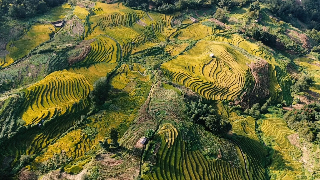 云南红河哈尼族彝族自治州元阳县梯田航拍