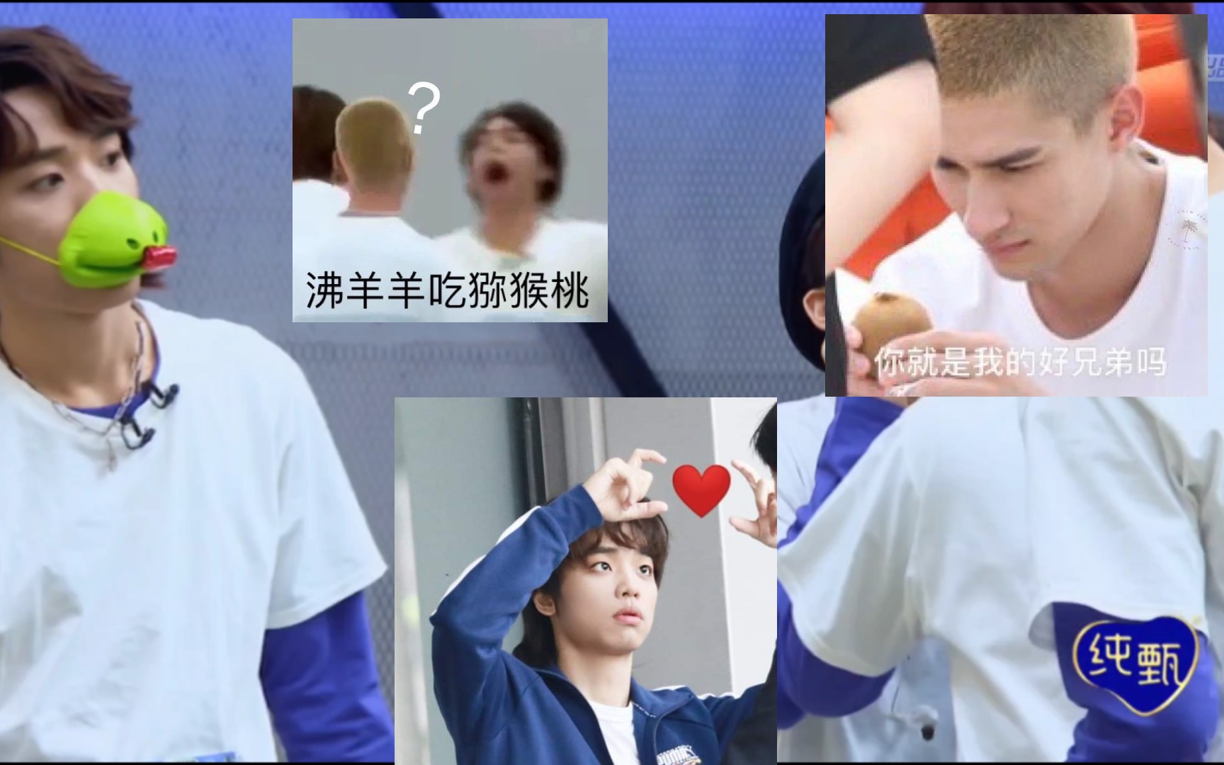 霸道总裁沸羊羊曾涵江众所周知猕猴桃有绿色的