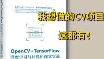 【强推】OpenCV+TensorFlow2.0，清华博士带你做计算机视觉项目！-深度学习与计算机视觉\机器学习\AI