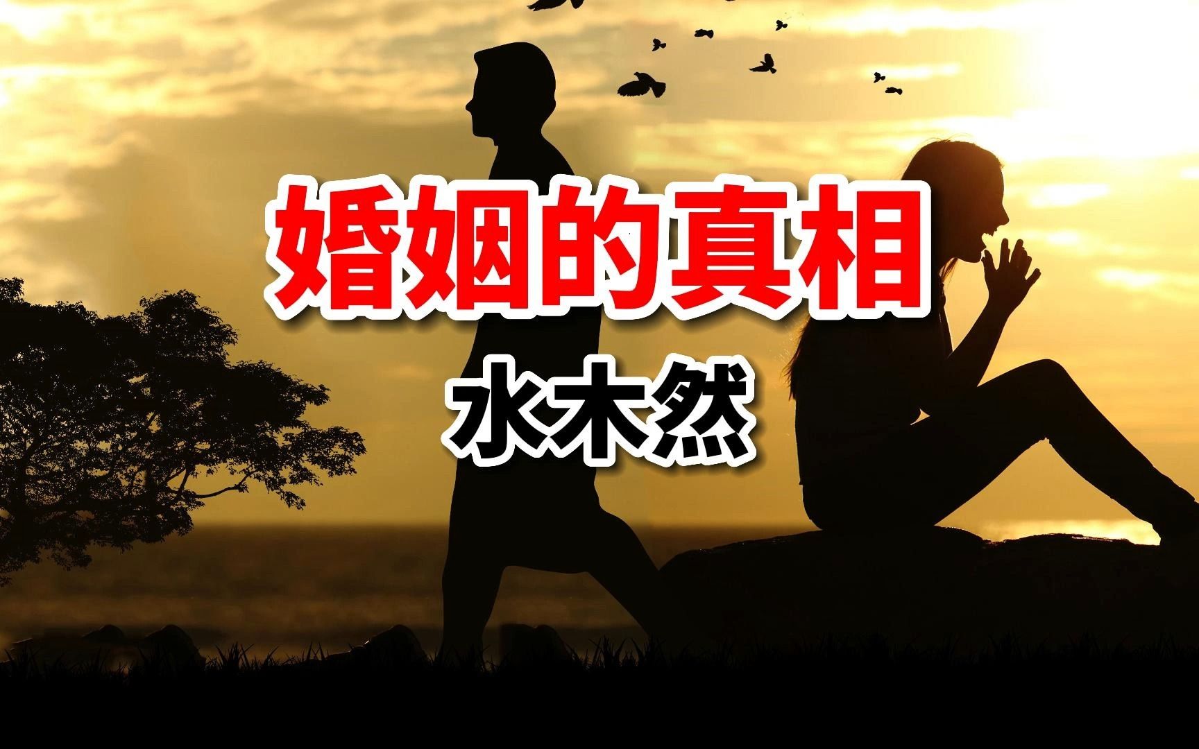 散文《婚姻的真相》你是谁,就会遇见谁?作者:水木然哔哩哔哩bilibili