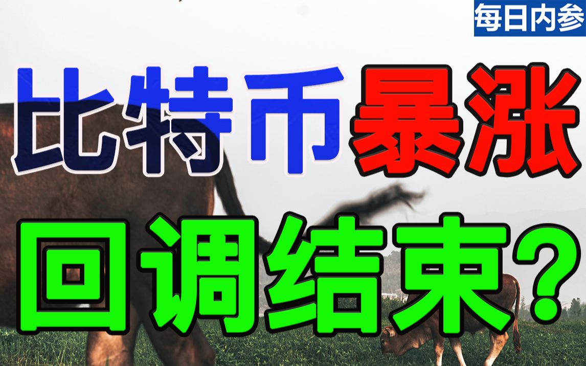 比特币瞬间暴涨,回调结束了?BTC、ETH、LTC、XRP、EOS哔哩哔哩bilibili