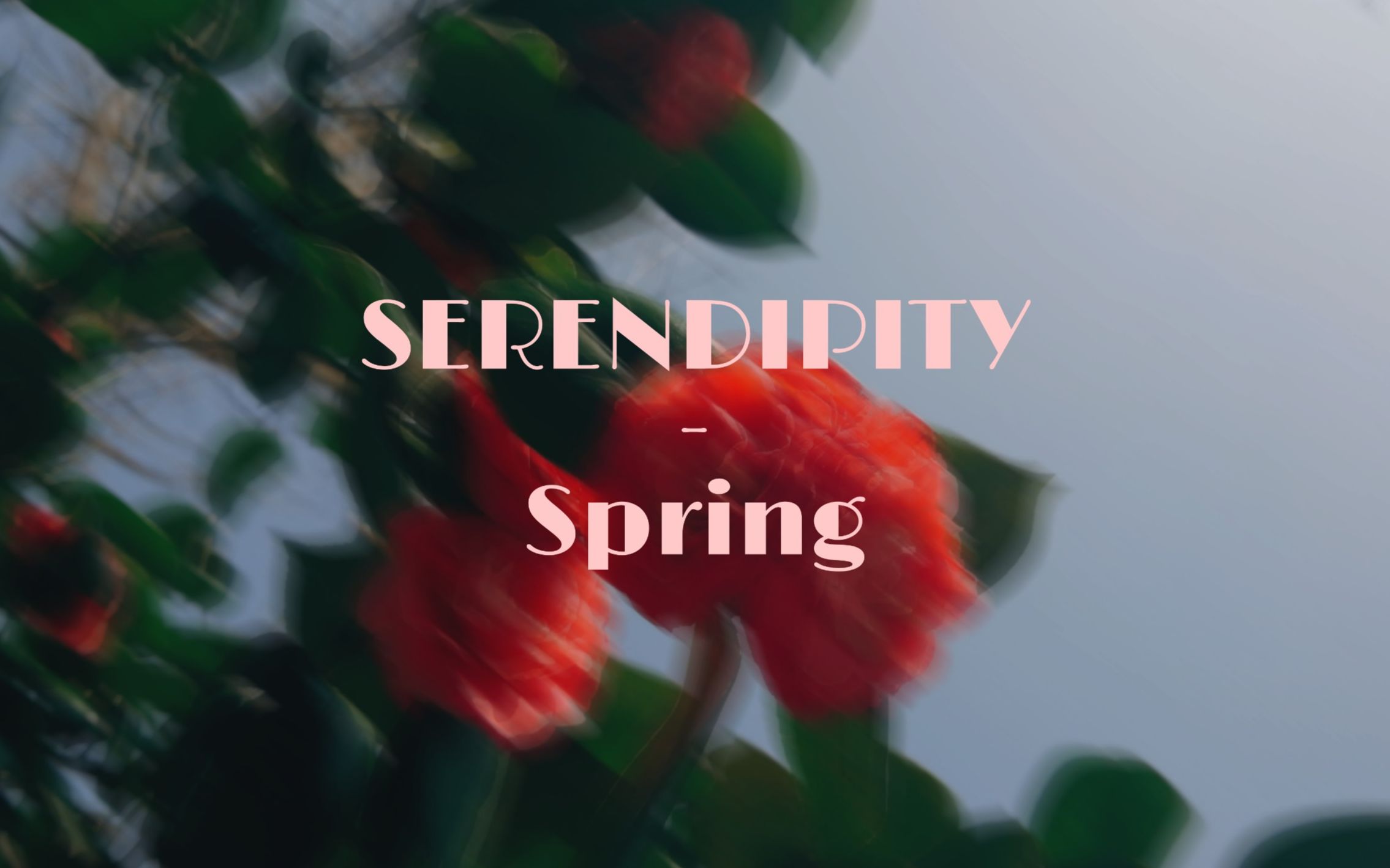 「serendipity 04」 spring 春天的故事 / "你当像鸟飞往你的山"