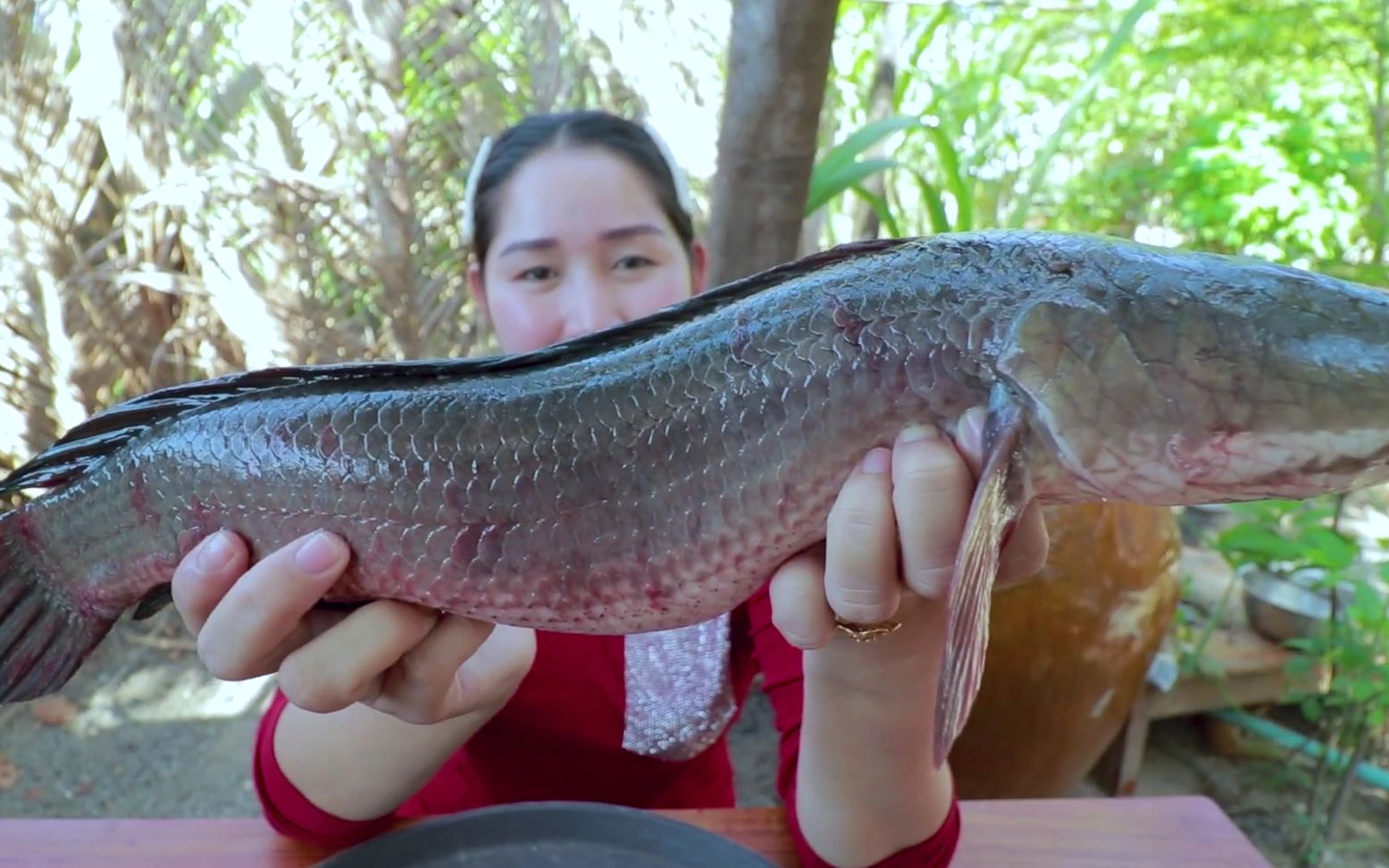 《柬埔寨小姐姐》美味黑鱼(乌鱼)蘑菇汤-黑鱼食谱1080x1920_哔哩哔哩