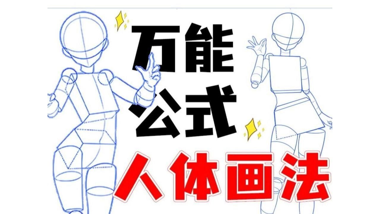 【人体绘画教程】零基础怎么自学人体结构,萌新最需要的人体教学,先