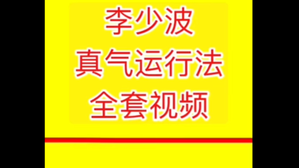 [图]李少波真气运行法教学视频李少波真气运行法全套视频