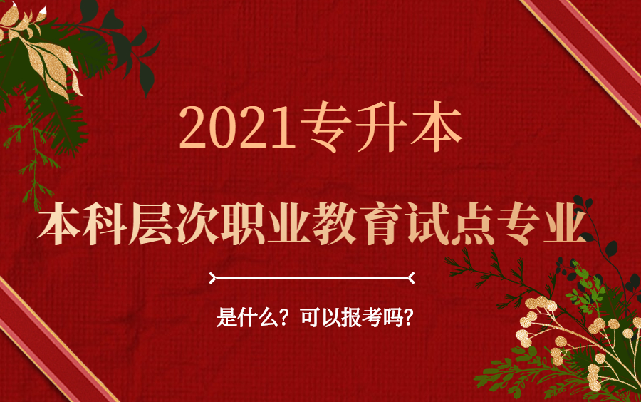 2021专升本新增的“本科层次职业教育试点专业”是什么?哔哩哔哩bilibili