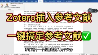zotero插入参考文献