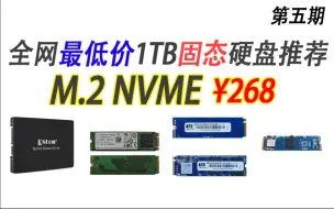 Download Video: 全网最低价1TB固态硬盘推荐（史低），包含NVME,SATA,NGFF