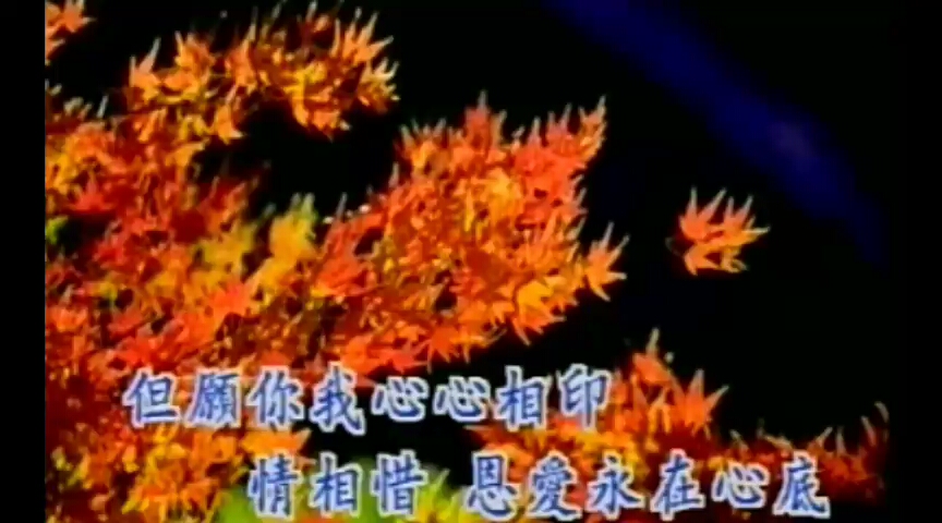 谢谢你常记得我邓丽君vcdcd音轨
