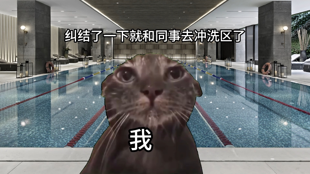 【猫meme】第一次去健身房游泳的故事哔哩哔哩bilibili