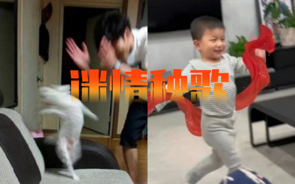 【暖男】迷情dancer哔哩哔哩bilibili