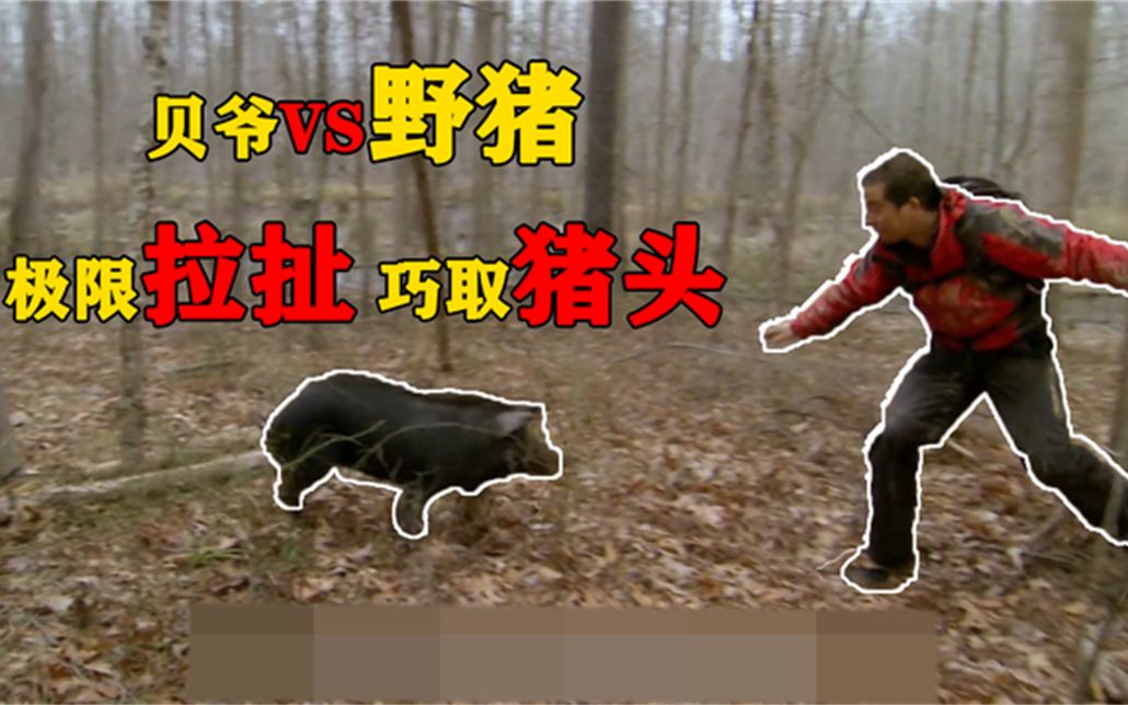 贝爷森林"偶遇"野猪,利用走位极限拉扯,野猪被秀直接摆烂